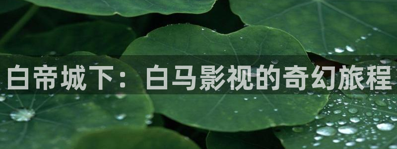 第七直播