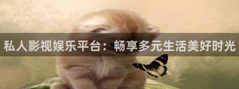 蜡笔小新第七季策驰影院