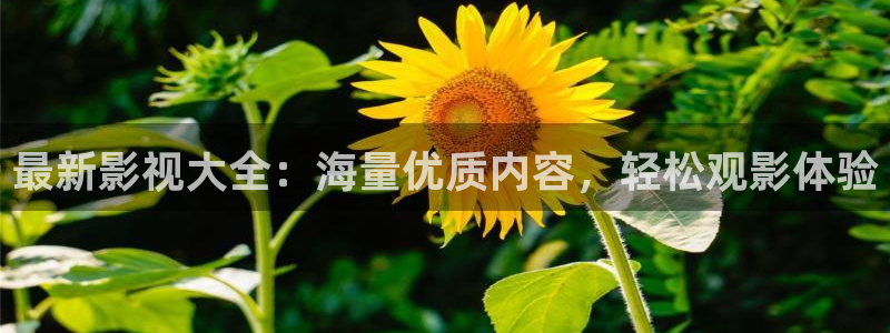 第七影院网