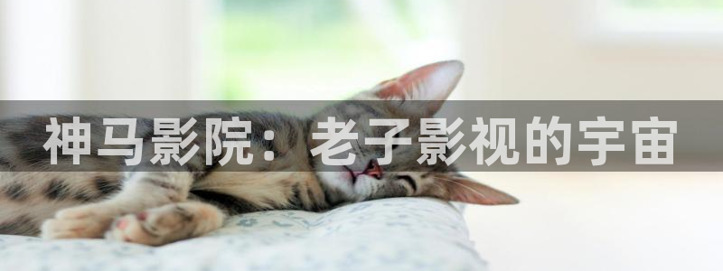 第七影院神马电影网